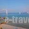 Art Boutique_best prices_in_Room_Piraeus Islands - Trizonia_Agistri_Agistri Rest Areas
