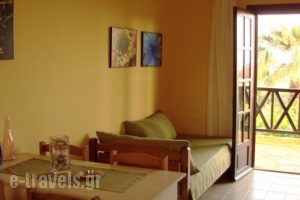 Apartments Karpetis_best prices_in_Apartment_Macedonia_Halkidiki_Psakoudia