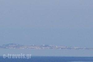 Apartments Karpetis_best deals_Apartment_Macedonia_Halkidiki_Psakoudia