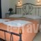 Studios Alsos_holidays_in_Hotel_Cyclades Islands_Naxos_Naxos chora