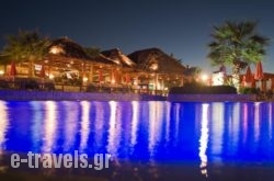 Theo Hotel_s __1