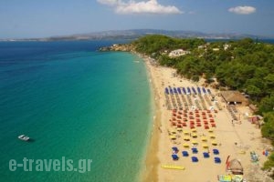 Ionian Studios_accommodation_in_Apartment_Ionian Islands_Kefalonia_Argostoli