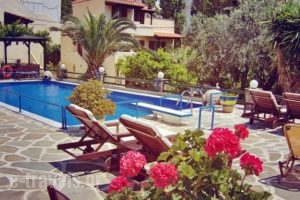 Villa Rena_lowest prices_in_Villa_Cyclades Islands_Andros_Batsi