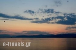 Erofili_s __1