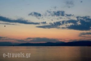 Erofili_accommodation_in_Hotel_Ionian Islands_Corfu_Kavos