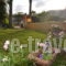 Thalassa_best deals_Apartment_Crete_Chania_Nopigia