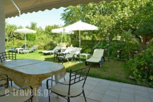 Lemonia Zakynthos Studios_accommodation_in_Room_Ionian Islands_Zakinthos_Agios Sostis