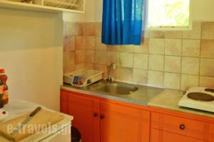 Lemonia Zakynthos Studios_holidays_in_Room_Ionian Islands_Zakinthos_Agios Sostis