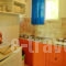 Lemonia Zakynthos Studios_holidays_in_Room_Ionian Islands_Zakinthos_Agios Sostis