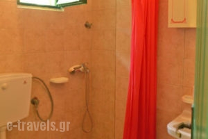 Lemonia Zakynthos Studios_best prices_in_Room_Ionian Islands_Zakinthos_Agios Sostis