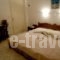 Minas Studios_holidays_in_Hotel_Cyclades Islands_Naxos_Agios Prokopios