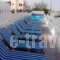 Fira Backpackers Place_lowest prices_in_Room_Cyclades Islands_Sandorini_Fira