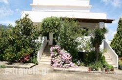 Villa Dina_s __3