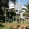 Villa Dina_best prices_in_Villa_Ionian Islands_Corfu_Corfu Rest Areas