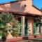 Vasilis Studios_holidays_in_Hotel_Ionian Islands_Corfu_Corfu Rest Areas
