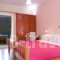 Holidays Pension_holidays_in_Room_Ionian Islands_Lefkada_Vasiliki