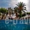 Classic Apartments_accommodation_in_Apartment_Crete_Heraklion_Gouves