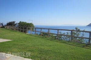 Diana Apartments_best prices_in_Apartment_Crete_Heraklion_Aghia Pelagia