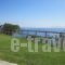 Diana Apartments_best prices_in_Apartment_Crete_Heraklion_Aghia Pelagia