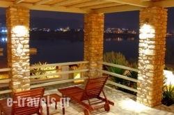 Mike's Place_s __1