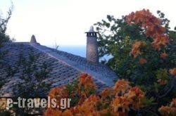 Gardenia Studios_s __1