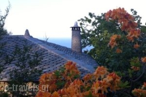 Gardenia Studios_accommodation_in_Hotel_Thessaly_Magnesia_Mouresi