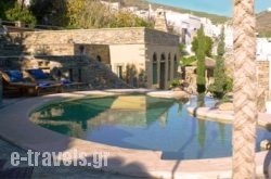 Villa Tripotamos in Tinos Rest Areas, Tinos, Cyclades Islands