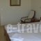 Asfodelos_travel_packages_in_Peloponesse_Ilia_Zacharo