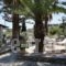 7 Islands_lowest prices_in_Hotel_Piraeus Islands - Trizonia_Spetses_Spetses Chora