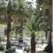 7 Islands_best deals_Hotel_Piraeus Islands - Trizonia_Spetses_Spetses Chora