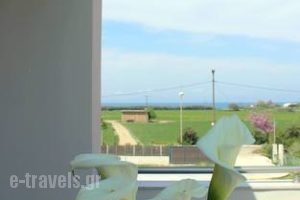 Marion Apartments_best prices_in_Room_Peloponesse_Ilia_Kourouta
