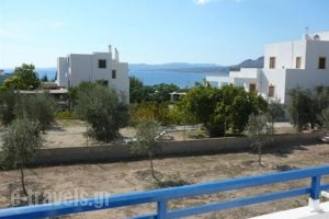 Tsambika's Studios_travel_packages_in_Dodekanessos Islands_Rhodes_Pefki