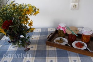 Diamanti Studios Apartments_best deals_Apartment_Aegean Islands_Lesvos_Mythimna (Molyvos)