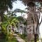 Meltemi_accommodation_in_Apartment_Central Greece_Fthiotida_Stylida