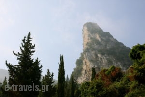 Summer Dream_best deals_Room_Ionian Islands_Corfu_Agios Gordios