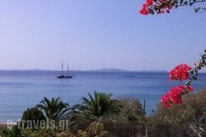 Zephyros_travel_packages_in_Cyclades Islands_Tinos_Tinos Rest Areas