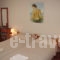 Olga Studios_lowest prices_in_Apartment_Thessaly_Magnesia_Afissos