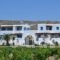 Joanna Apartments_travel_packages_in_Cyclades Islands_Naxos_Naxos Chora