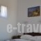 Joanna Apartments_best deals_Apartment_Cyclades Islands_Naxos_Naxos Chora