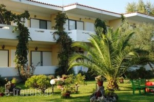 Studios Lainis_accommodation_in_Hotel_Macedonia_Halkidiki_Sykia