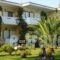 Studios Lainis_accommodation_in_Hotel_Macedonia_Halkidiki_Sykia