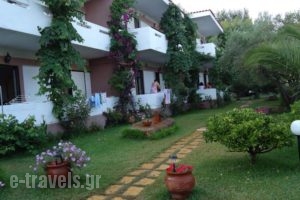 Studios Lainis_holidays_in_Hotel_Macedonia_Halkidiki_Sykia