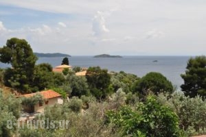 Villa Kim_holidays_in_Villa_Sporades Islands_Skiathos_Achladies