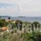 Villa Kim_holidays_in_Villa_Sporades Islands_Skiathos_Achladies