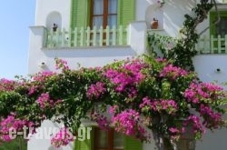 Elena Studios in Piso Livadi, Paros, Cyclades Islands