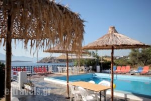 Havania Apartments_best deals_Apartment_Crete_Lasithi_Ammoudara