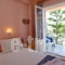 Dolphin_holidays_in_Hotel_Sporades Islands_Skopelos_Skopelos Chora