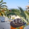 Dolphin_best deals_Hotel_Sporades Islands_Skopelos_Skopelos Chora