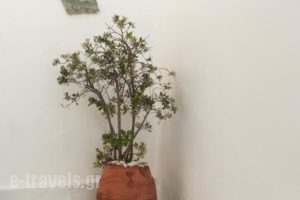 Andriani'S Guest House_best prices_in_Hotel_Cyclades Islands_Mykonos_Mykonos ora