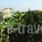 Gorgona_accommodation_in_Hotel_Crete_Heraklion_Ammoudara